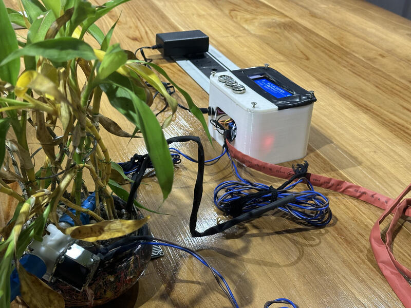 Plant watering enclosure